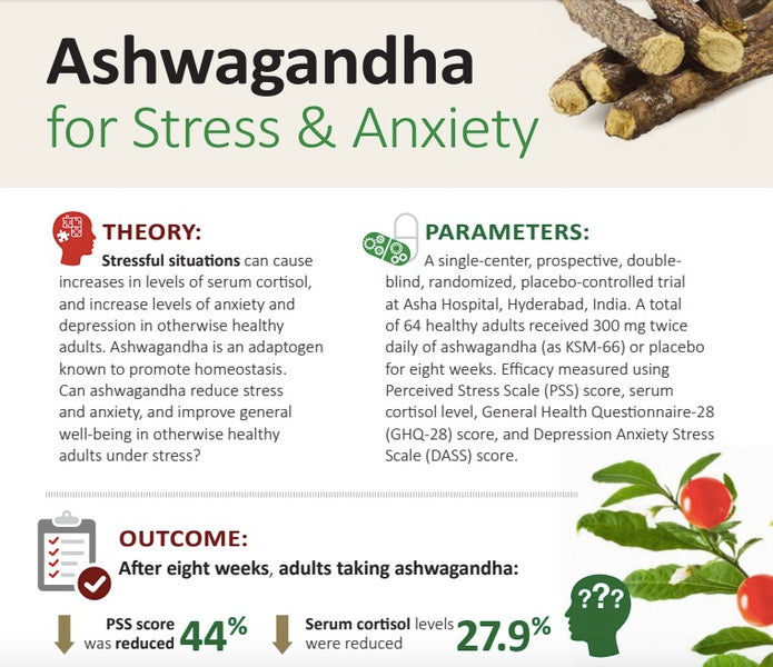 KSM-66 Ashwagandha For Stress And Anxiety